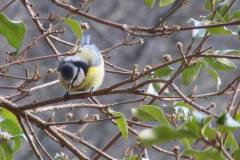 10409113_241883899315153_2180524402493248100_n