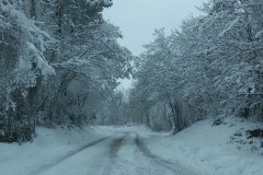 10436201_257542877749255_8187103255386937505_n