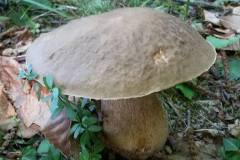 11057377_351022021734673_8641113158661053535_n