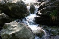 11203101_304880889682120_1260700975233888923_n