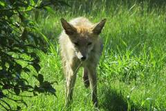 18057086_605825756254297_3222013894255752803_n