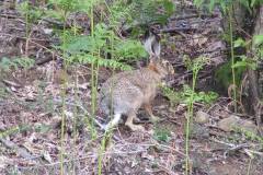 18194951_611529972350542_2499108432861995936_n