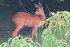 19884084_647582415411964_4167320485538246094_n