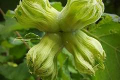 19894677_646451202191752_8051171009602717048_n