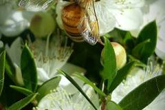 20229316_651751518328387_1560781892225765412_n