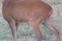 20229337_651185225051683_3913635132883481245_n-1