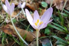 21559061_677418309095041_1538794585504461046_n