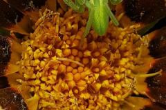 21617918_680855502084655_5954437931688820704_n