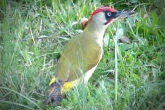 22406016_690690641101141_2326257859848552999_n