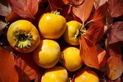 22815083_696336050536600_7076068163734264055_n