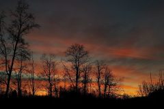 25593950_723985847771620_3301822491714356995_n