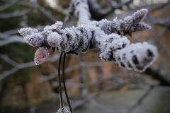 27867297_757226387780899_7067589730812176471_n