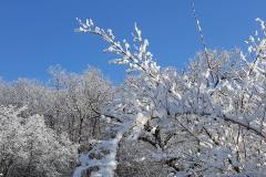 28056229_759430367560501_3227473997062139646_n