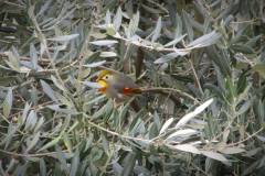 28276843_764314110405460_2425313966317632343_n