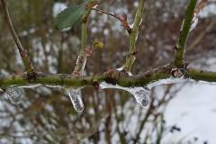 28377828_768562069980664_4625646431261123226_n