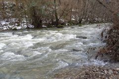 28379800_769276949909176_2680240561040872218_n