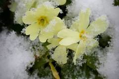 28468057_765536903616514_4728945912354005658_n