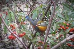 28471286_770087836494754_1586041348922453132_n-1