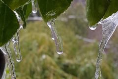 28471974_768562496647288_4152000263060108198_n