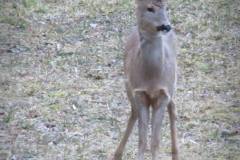 28872579_771092403060964_2308392324190412344_n