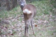 29027504_772721236231414_306753874314657792_n