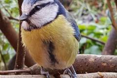 29513319_779257735577764_1225617790346461184_n