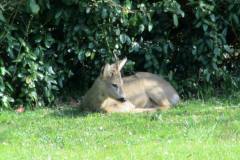 30688824_790139247822946_8516896070381338624_n