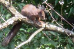 30706838_792086310961573_644901721885114368_n