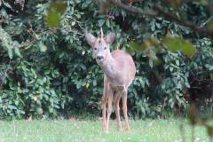 30727804_790139154489622_500184619912527872_n