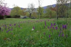 31150293_795218083981729_1183203390570627072_n