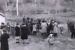 10003981_411852022292784_232981386_n