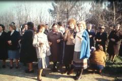 1238200_442908789187107_7090116487109850568_n