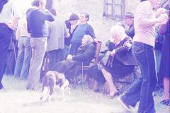 12633527_767694480041868_3943375156866546555_o