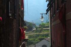 125386879_2212643525546949_8043732493504549386_n