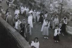 1898141_412212815590038_450910738_n