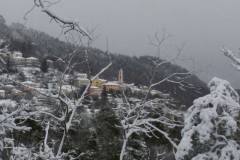 1017730_257544981082378_1395758675263479134_n