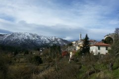 10953149_257848014385408_8783655971143035300_n