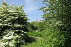 11150825_303188749851334_8896252901421171562_n