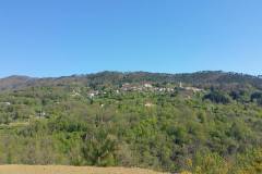 13001259_10206375100438318_5670100083086241815_n