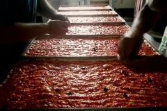 10532863_711631228884444_361984880140126742_n