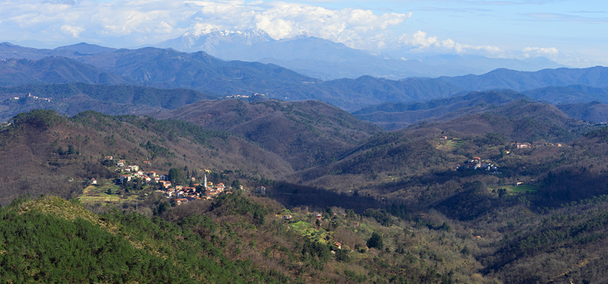 img-macro-valle-mobile